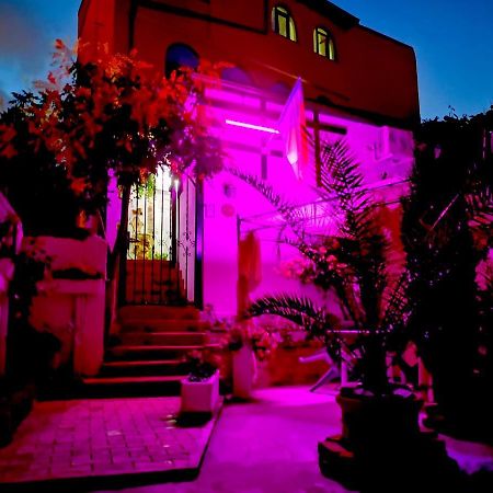 הוילה קונסטנצה Casa Fotografului מראה חיצוני תמונה